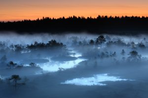 C5_1 Remo Savisaar "Early morning bog" Nature Photographerof the Year Contest 2017