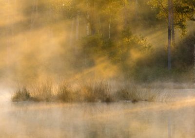 Andrew_George-Nature_Talks-Workshops-Cursussen-Natuurfotografie-1