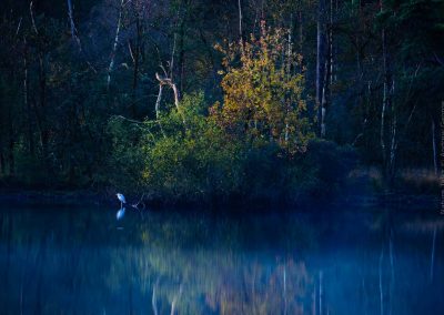 Andrew_George-Nature_Talks-Workshops-Cursussen-Natuurfotografie-10