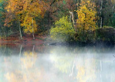 Andrew_George-Nature_Talks-Workshops-Cursussen-Natuurfotografie-11