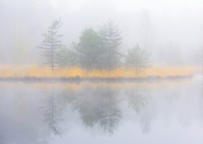 Andrew_George-Nature_Talks-Workshops-Cursussen-Natuurfotografie-7