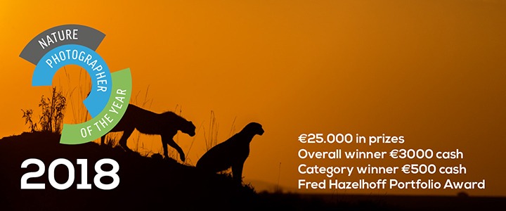 nature_photographer_of_the_year-npoty-cheetahs-photography_contest-photography_competition-nature_photography_competition