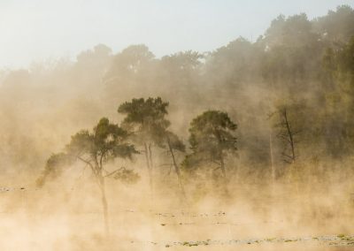 Nature-Talks-natuurfotografieworkshops-creatieve-natuurfotografie-fotoworkshop-Andrew_George