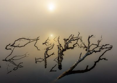 Nature-Talks-natuurfotografieworkshops-landschapsfotografie-workshop-kampina-natuurfotografie-fotoworkshop-Andrew_George