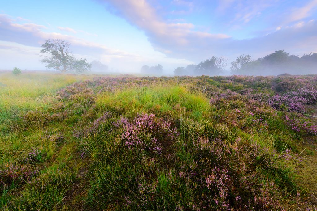 Nature Talks Natuur Foto Workshops Natuurfotoworkshop Natuurfotografieworkshops Andrew George 12