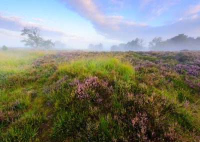 Nature Talks Natuur Foto Workshops Natuurfotoworkshop Natuurfotografieworkshops Andrew George 12