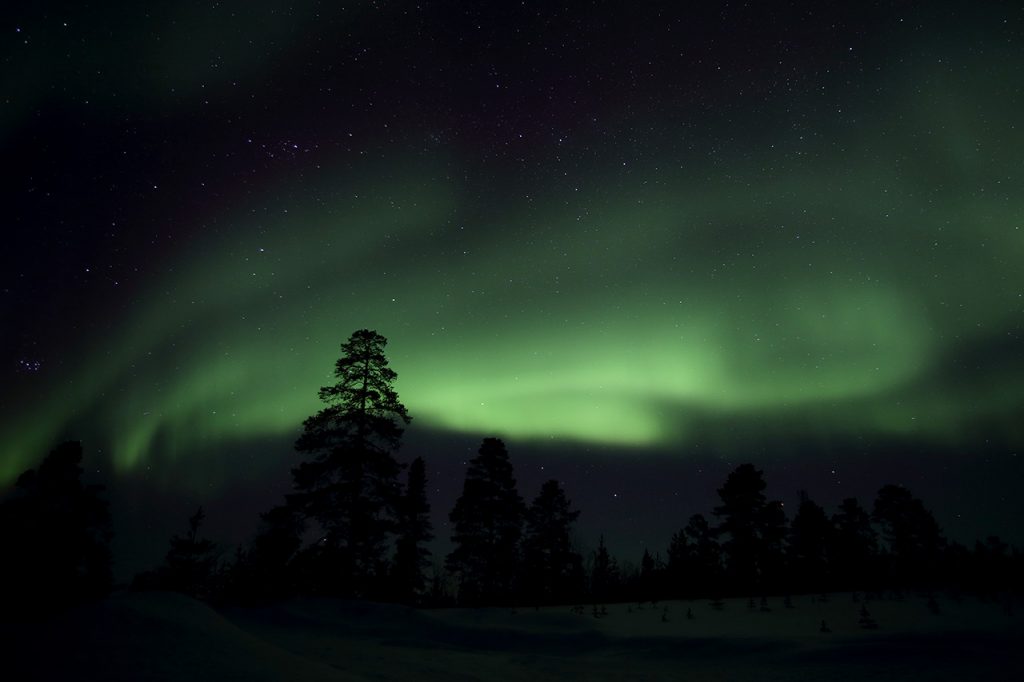 Nature_Talks-fotoreizen-natuurfotoworkshops-natuurfotografie_cursussen-Fins_lapland-Noorderlicht-Lesley_van_Loo