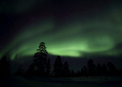 Nature_Talks-fotoreizen-natuurfotoworkshops-natuurfotografie_cursussen-Fins_lapland-Noorderlicht-Lesley_van_Loo