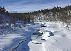 Winterzicht, Noord Finland. Kris De Rouck fotoreizen, natuurfotografie, natuurfotoworkshops