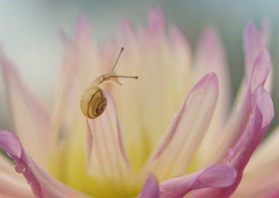 Trui_Heinhuis-nature_talks_photo_festival-fotoreizen-natuurfotoworkshops-natuurfotografie