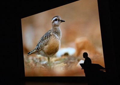 Wim_Wilmers_Nature_Talks_Photo_Festival-natuurfotografie