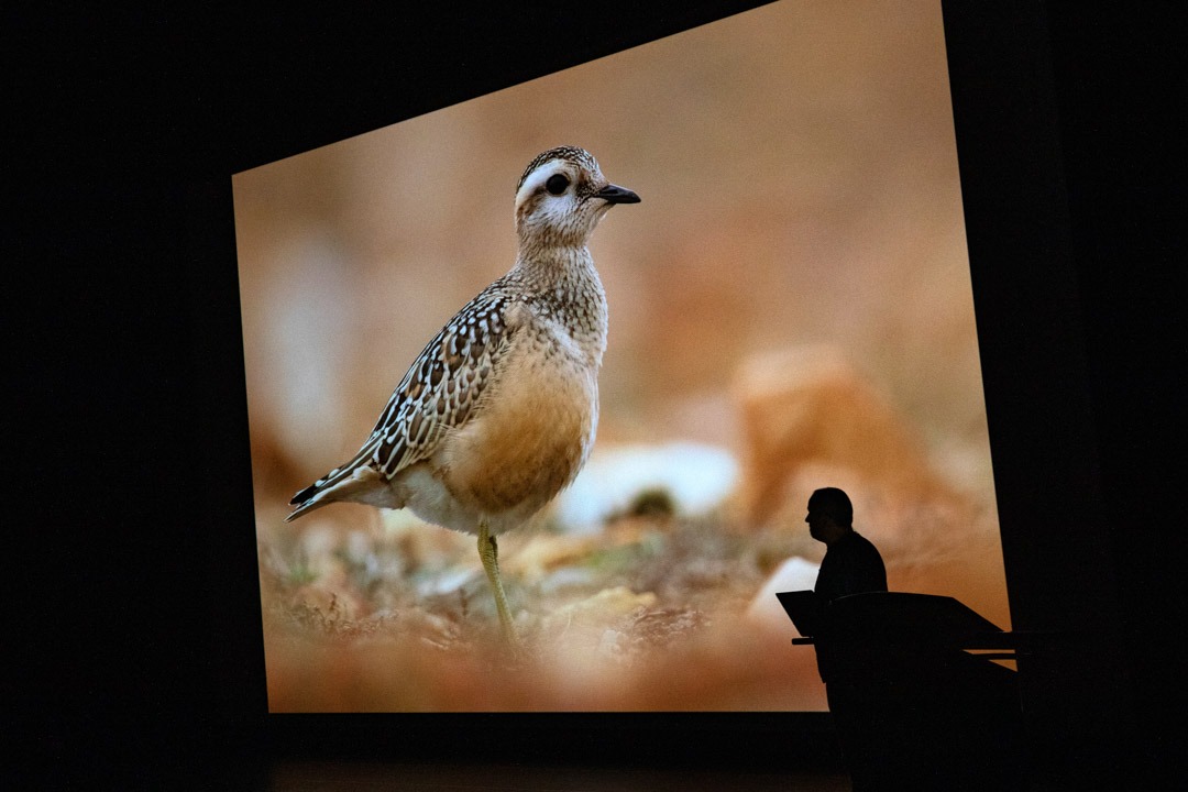 Wim_Wilmers_Nature_Talks_Photo_Festival-natuurfotografie