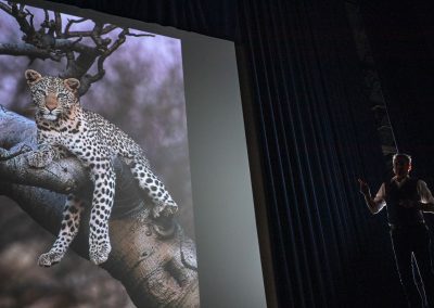 Wim_Wilmers_Nature_Talks_Photo_Festival-natuurfotografie