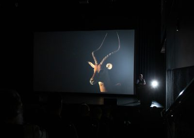 Wim_Wilmers_Nature_Talks_Photo_Festival-natuurfotografie