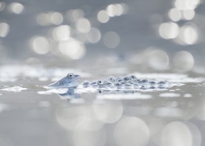 Trui_Heinhuis-nature_talks_photo_festival-fotoreizen-natuurfotoworkshops-natuurfotografie