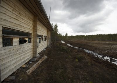 Nature_Talks-fotoreizen-natuurfotoworkshops-natuurfotografie_cursussen-Finland-fotohut_wilde_beren-peter_van_der_veen