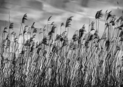 Nature-Talks-natuurfotografieworkshops-landschapsfotografie-workshop-kampina-natuurfotografie-fotoworkshop-Andrew_George