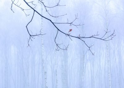 Nature-Talks-natuurfotografieworkshops-landschapsfotografie-basiscursus_natuurfotografie-fotoworkshop-Andrew_George