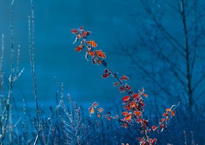 Nature-Talks-natuurfotografieworkshops-landschapsfotografie-basiscursus_natuurfotografie-fotoworkshop-Andrew_George