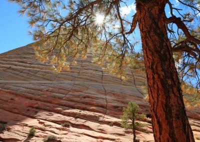 Fotoreis-Amerika-USA-Zion-Nature_Talks