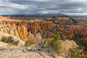 Fotoreis-Amerika-USA-Bryce_Canyon-Nature_Talks