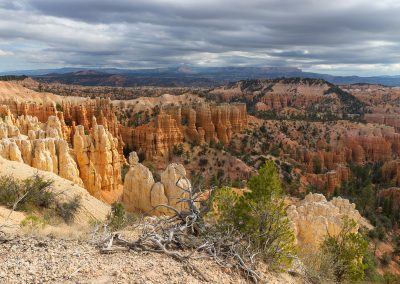 Fotoreis-Amerika-USA-Bryce_Canyon-Nature_Talks