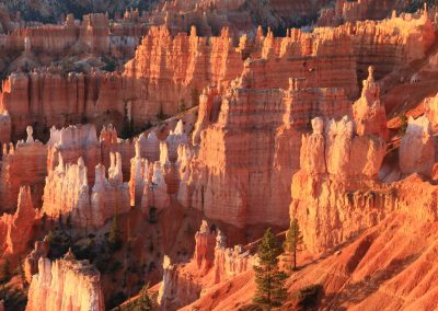 Fotoreis-Amerika-USA-Bryce_Canyon-Nature_Talks