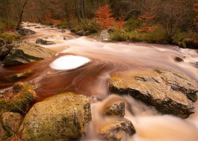 Riviertje Ardennen hügne | Herman van der Hart | Nature Talks | Fotoreizen, natuurfotografie, fotoworkshops