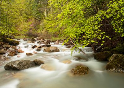 Bergstroom Pyreneeën | Herman van der Hart | Nature Talks | Fotoreizen, natuurfotografie, fotoworkshops