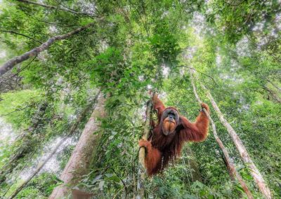 Fotoreis Indonesië Nature Talks Fotoreizen Marco Gaiotti