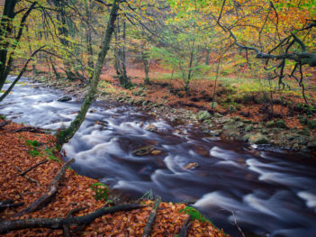 Fotoreis Hoge Venen herfst