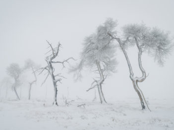 Fotoreis Hoge Venen winter