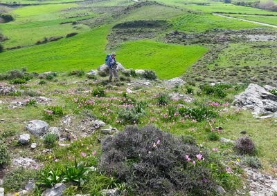 Kreta fotoreis landschap nature talks