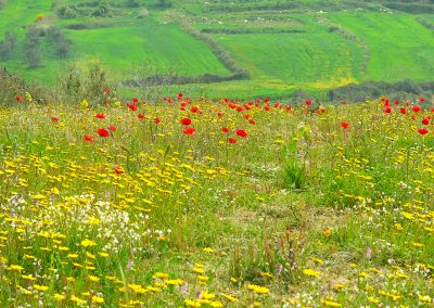 Kreta fotoreis rethimnon kretenzers landscapes nature talks