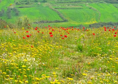 Kreta fotoreis rethimnon kretenzers landscapes nature talks