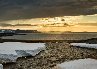 Fotoreis Nature Talks Fins Lapland Hornøya, Varanger