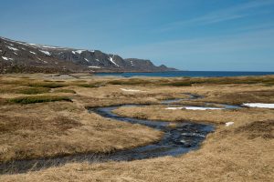 Fotoreis Nature Talks Fins Lapland Hornøya, Varanger
