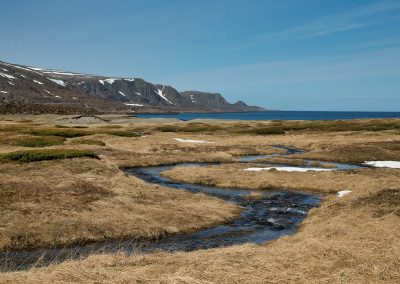 Fotoreis Nature Talks Fins Lapland Hornøya, Varanger