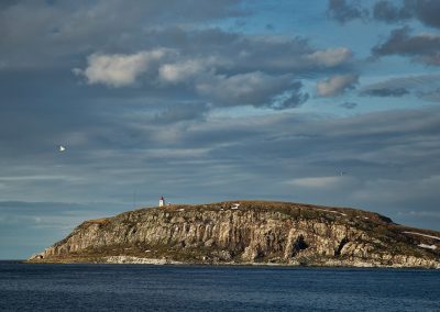 Fotoreis Nature Talks Fins Lapland Hornøya, Varanger