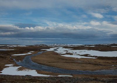 Fotoreis Nature Talks Fins Lapland Hornøya, Varanger Toendrat