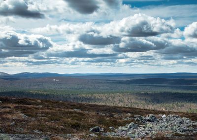 Fotoreis Nature Talks Fins Lapland Hornøya, Varanger Taiga