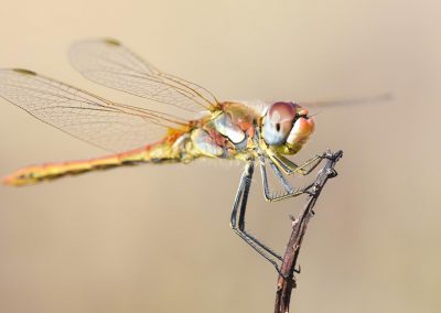 Fotoreis_Nature talks_Griekenland_fotografiereis