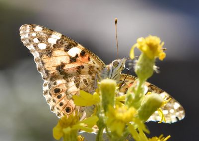 Fotoreis_Nature talks_Griekenland_fotografiereis