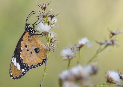 Fotoreis_Nature talks_Griekenland_fotografiereis