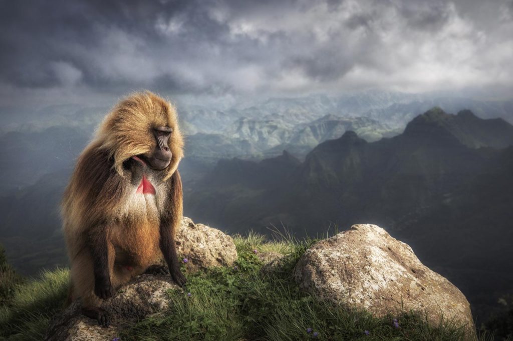 Fotoreis_Nature talks_Marco_Gaiotti_Ethiopie_fotografiereis