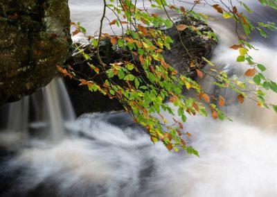 Hoge_Vene fotoworkshop-Michel_Lucas-Nature Taks