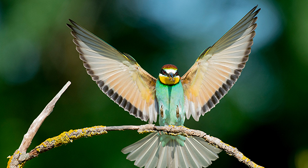 Hongarije-nature-talks-fotoreis1