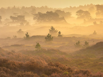 Foto 3-daagse Drenthe: Natuurfotografie Workshops Herfst in Drenthe