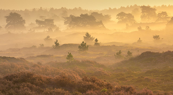 Nature-Talks_Herfst_in_Drenthe