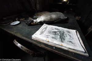 Dode pinguïn op tafel met een oude London News door fotograaf Christian Clauwers